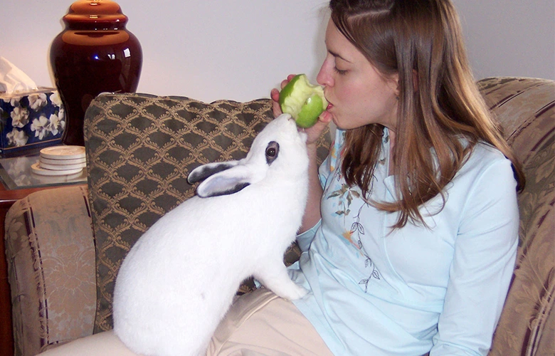 Apples are good snacks for a Rabbit