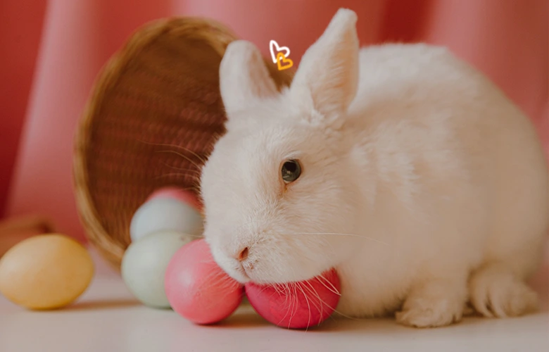 A relaxed rabbit playing with colored eggs