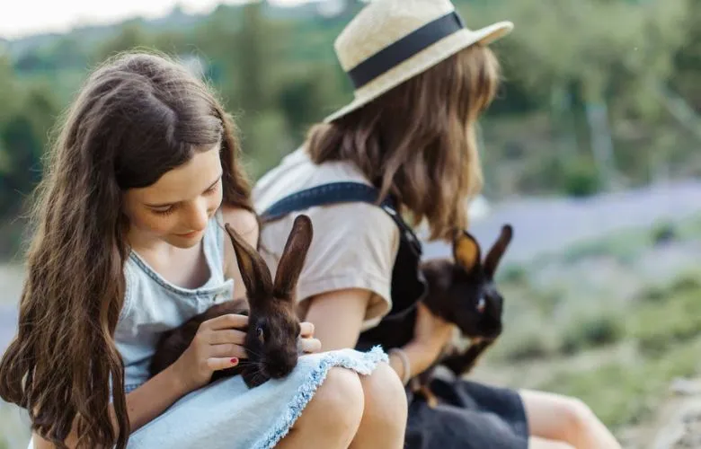 Two girls petting two rabbits
