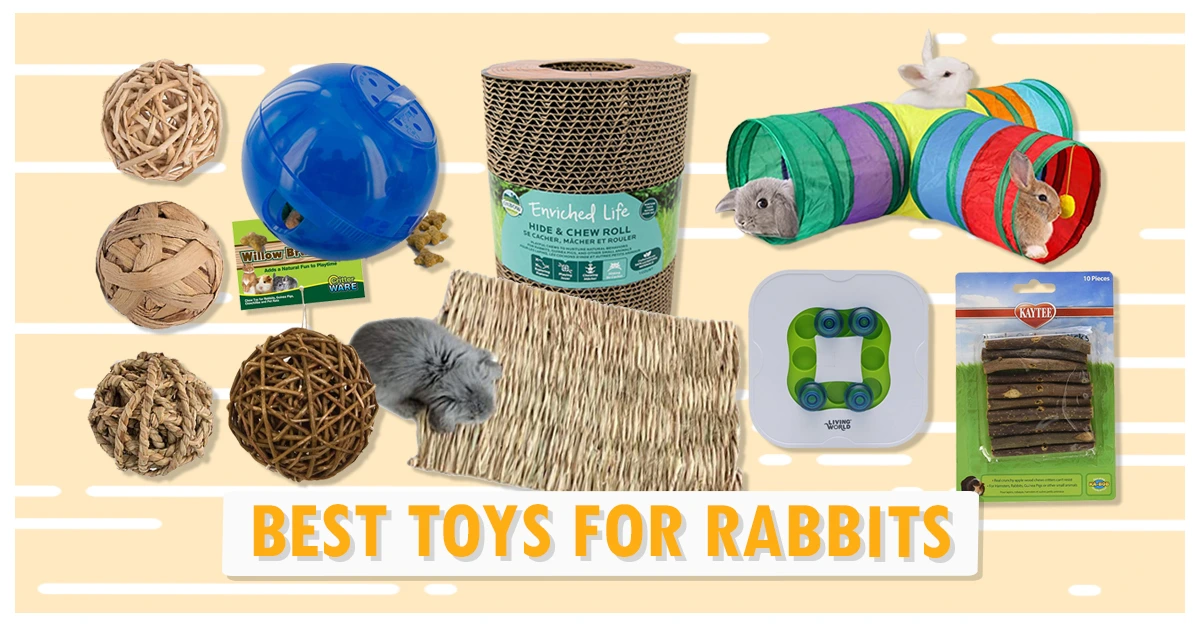 Best Toys For Rabbits
